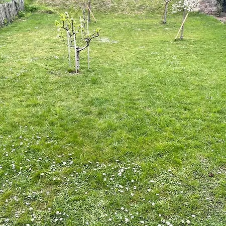Ferienwohnung Lavendel Appartement *